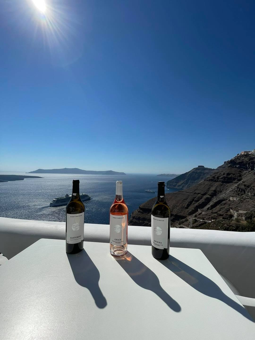 Wine and food pairing