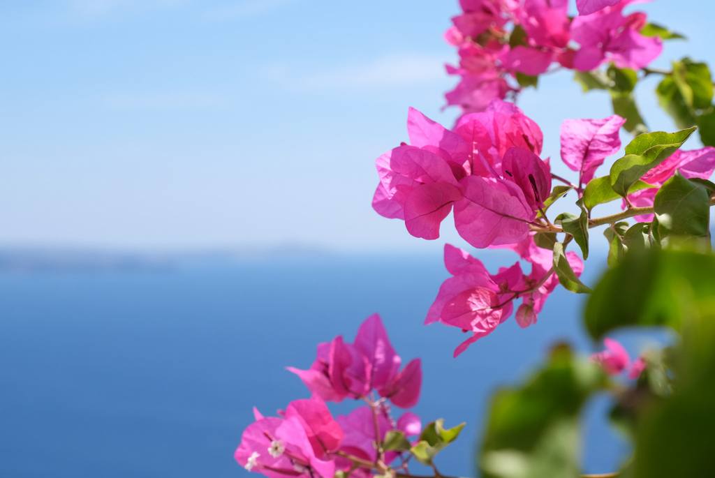IMG 5566 - Santorini and Athina Luxury Suites hotel during April and Easter time. Santorini Easter